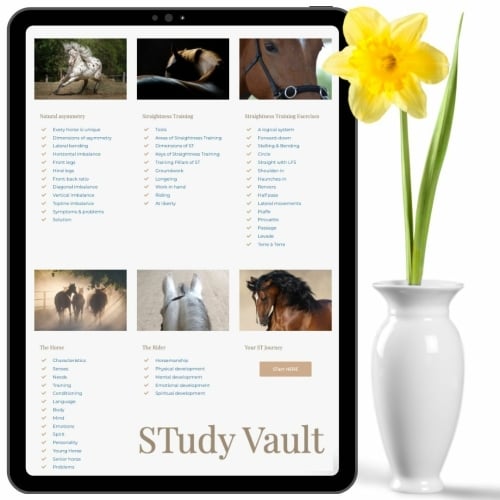 Straightness Training