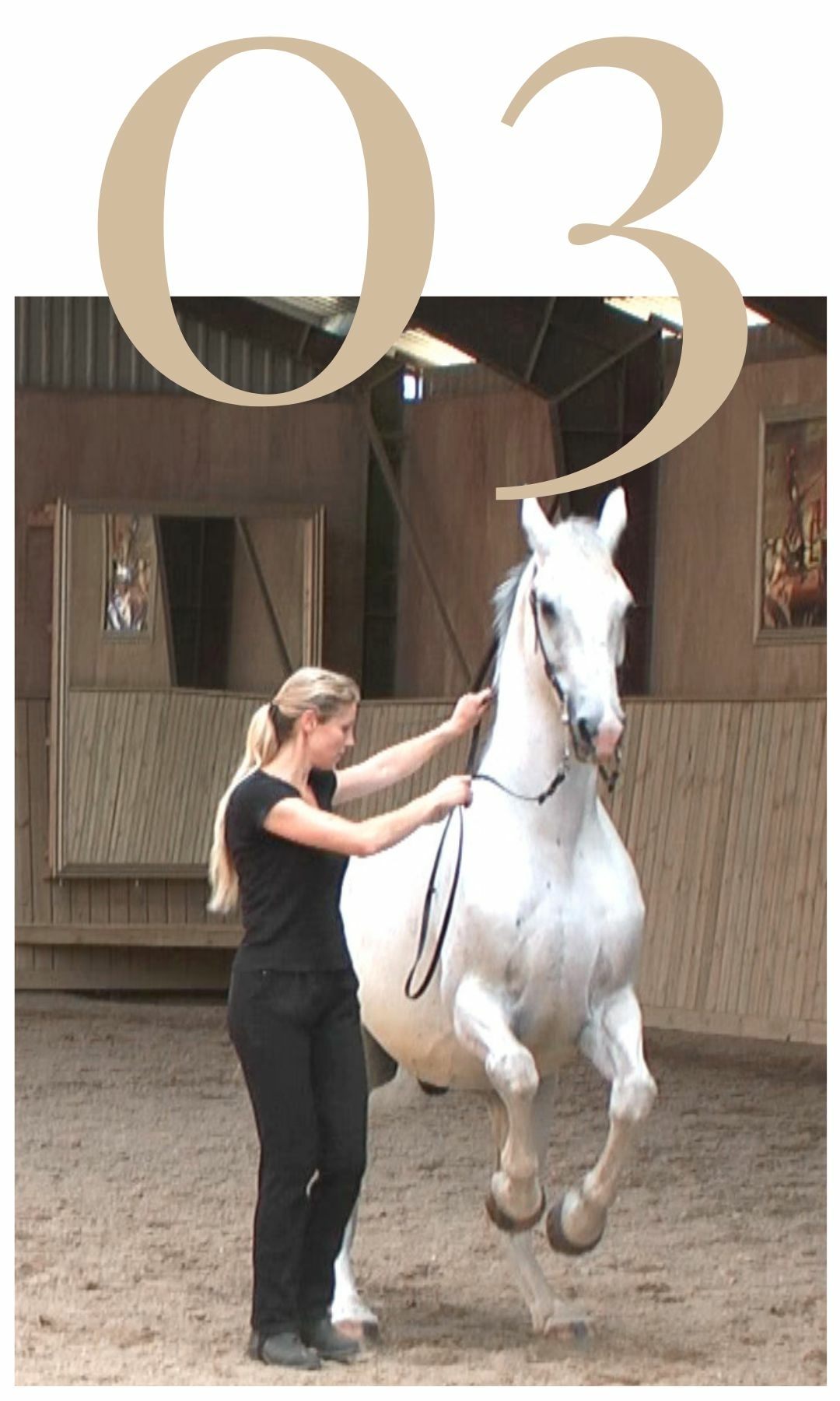 Straightness Training