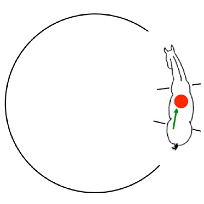 teach your horse to turn teach your horse to turn