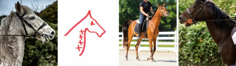 topline imbalance
