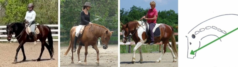 straightness training