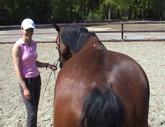 hind legs hind legs and pelvis