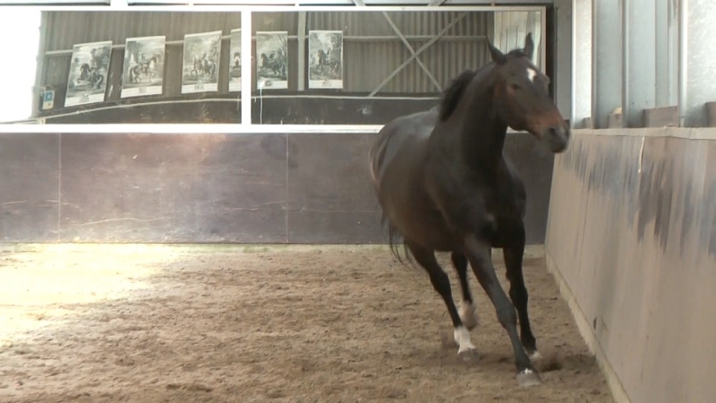 vertical imbalance