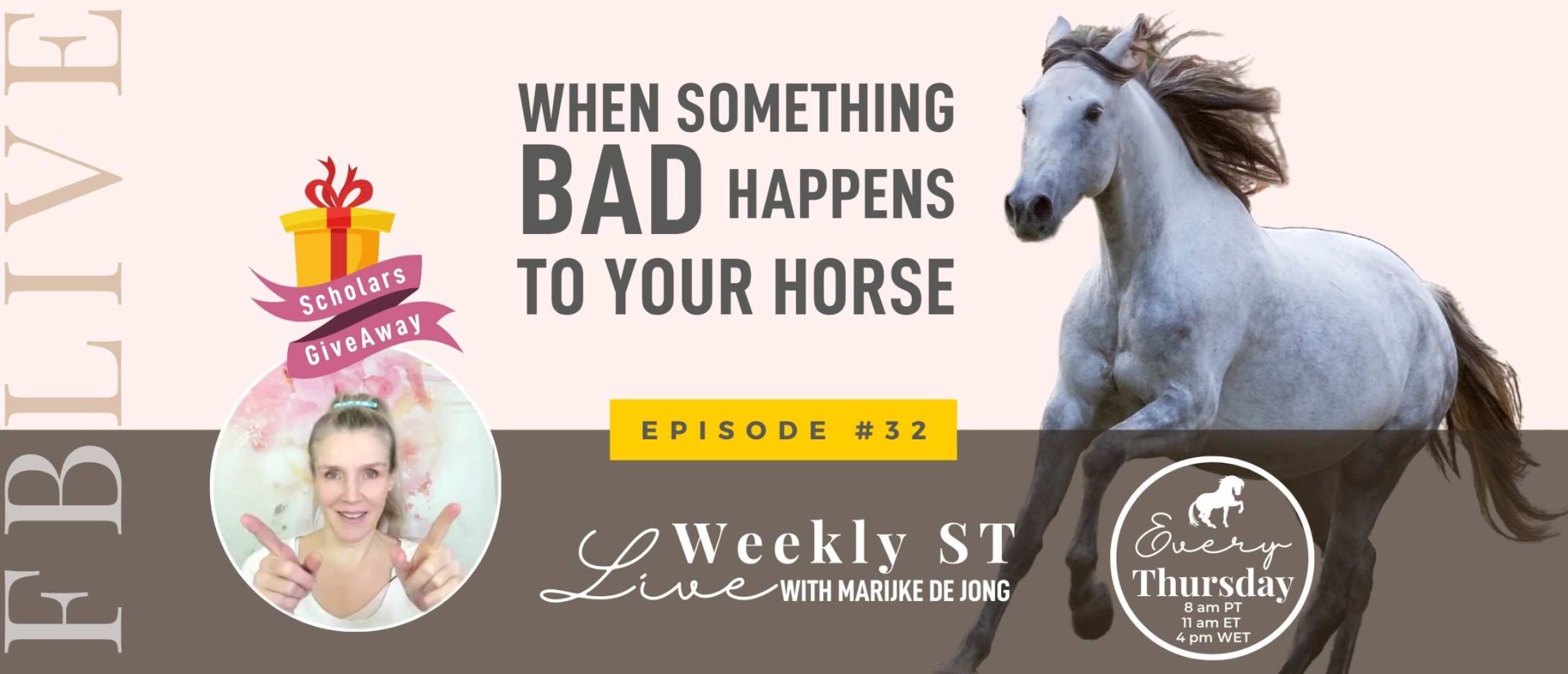 32 | When something bad happens to your horse