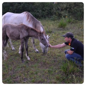 victor-and-foal