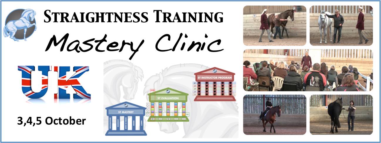 st-mastery-clinic-uk-2014