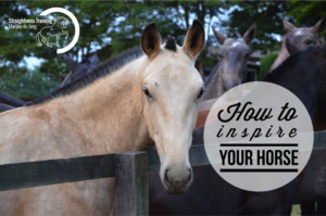 how-to-inspire-your-horse