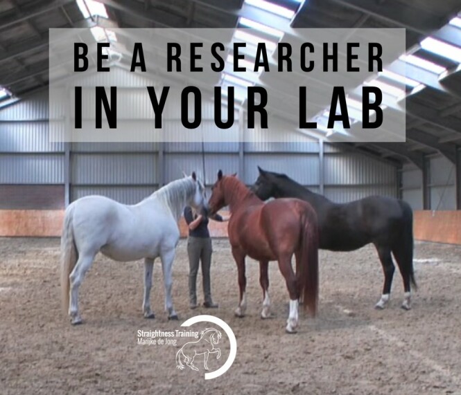 Be a Researcher in Your Lab