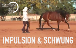 Impulsion & Schwung