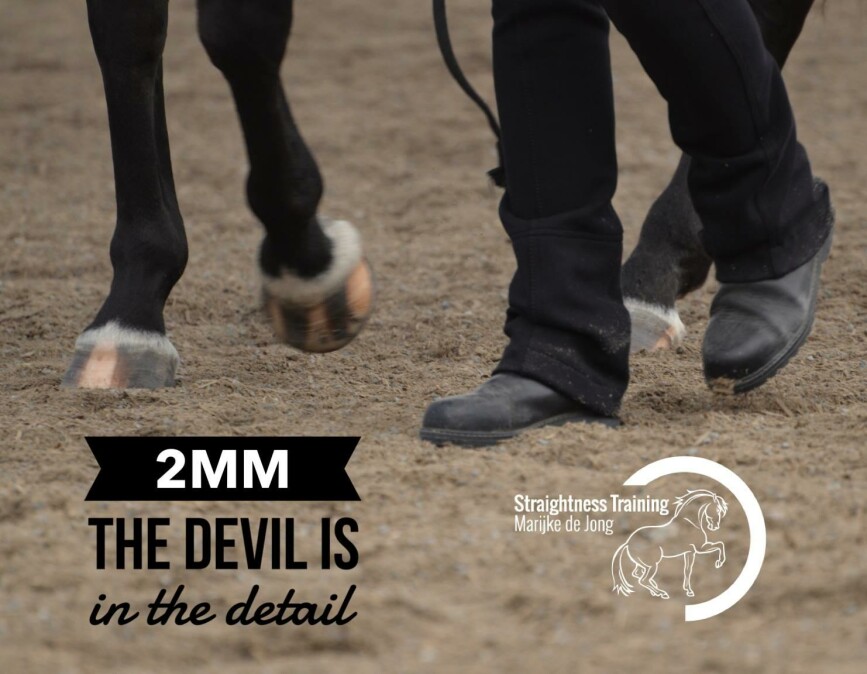 2mm—The Devil is in the Detail