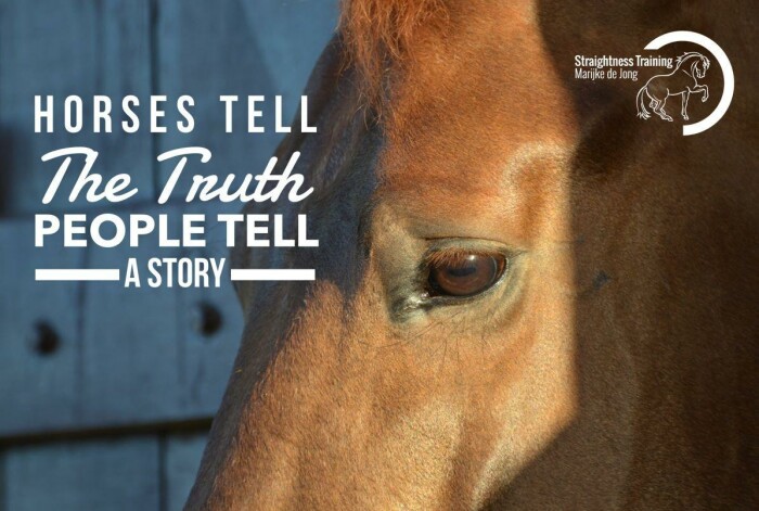Horses Tell the Truth, People Tell a Story