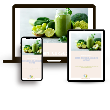 Mini-cursus meer energie met voeding