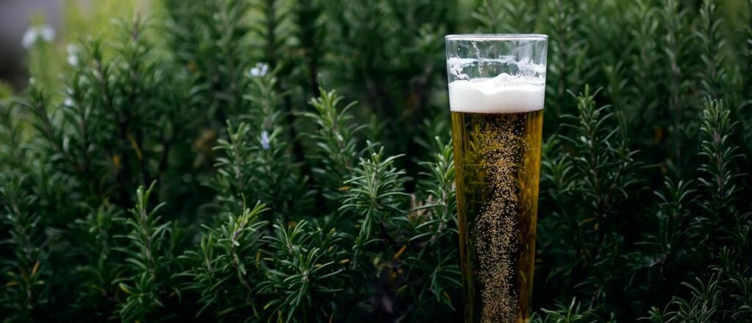 Het nut van bierglazen: welk glas voor welk bier?