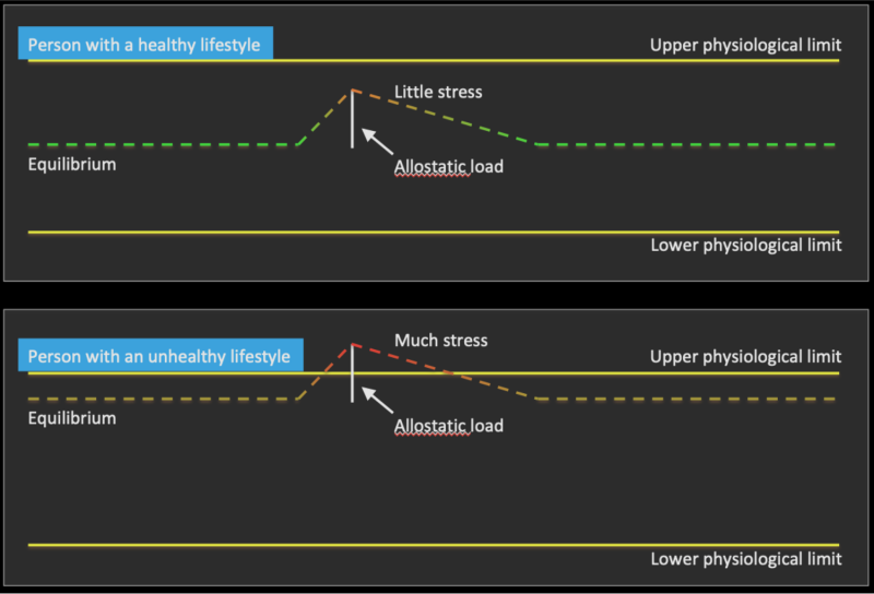 The allostatic load may push somebody with an unhealthy lifestyle into a condition of stress