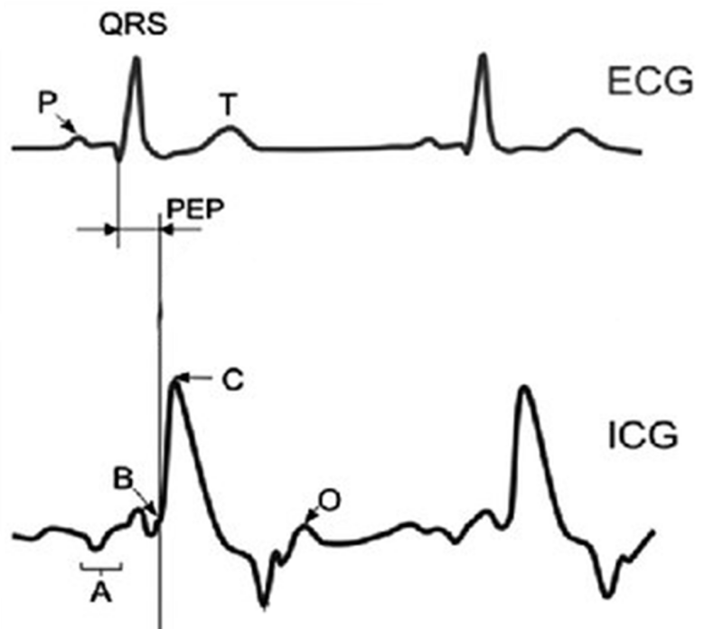 PEP, stress and the sympathetic nervous system