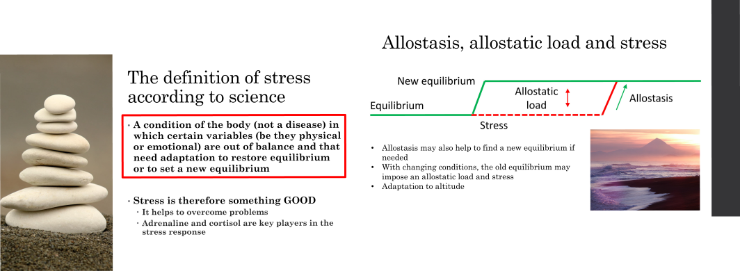 Understanding stress is the first stress management step