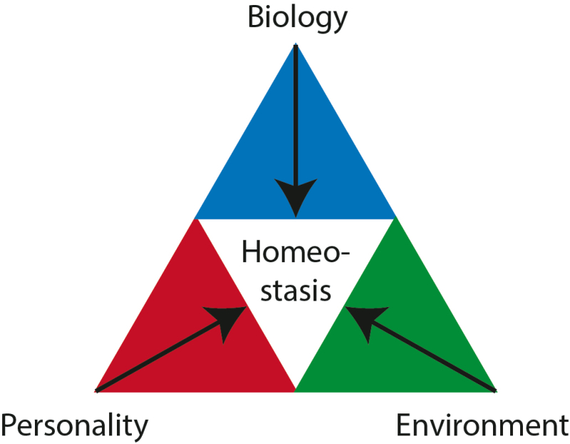 Effective stress management takes biology, personality and environment into account