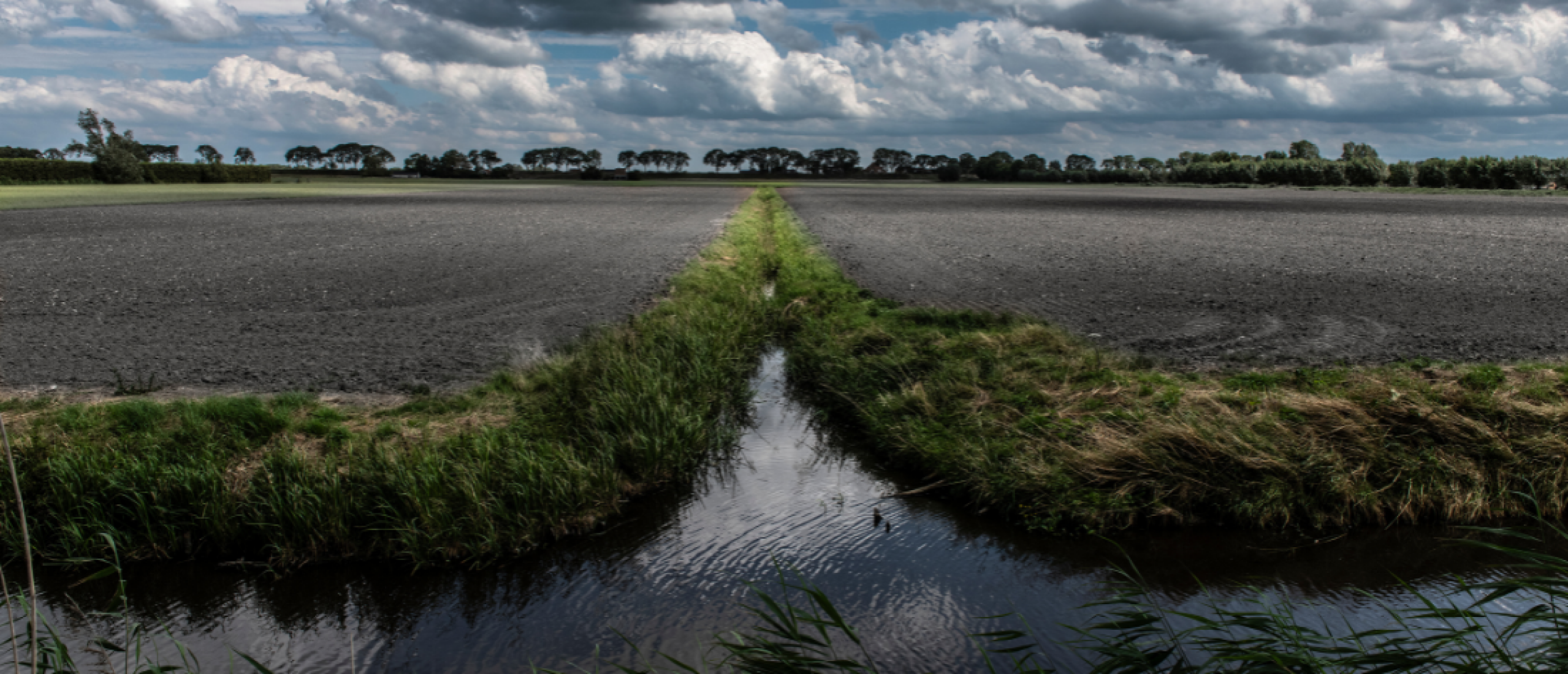 De Beemster: de moestuin van Amsterdam