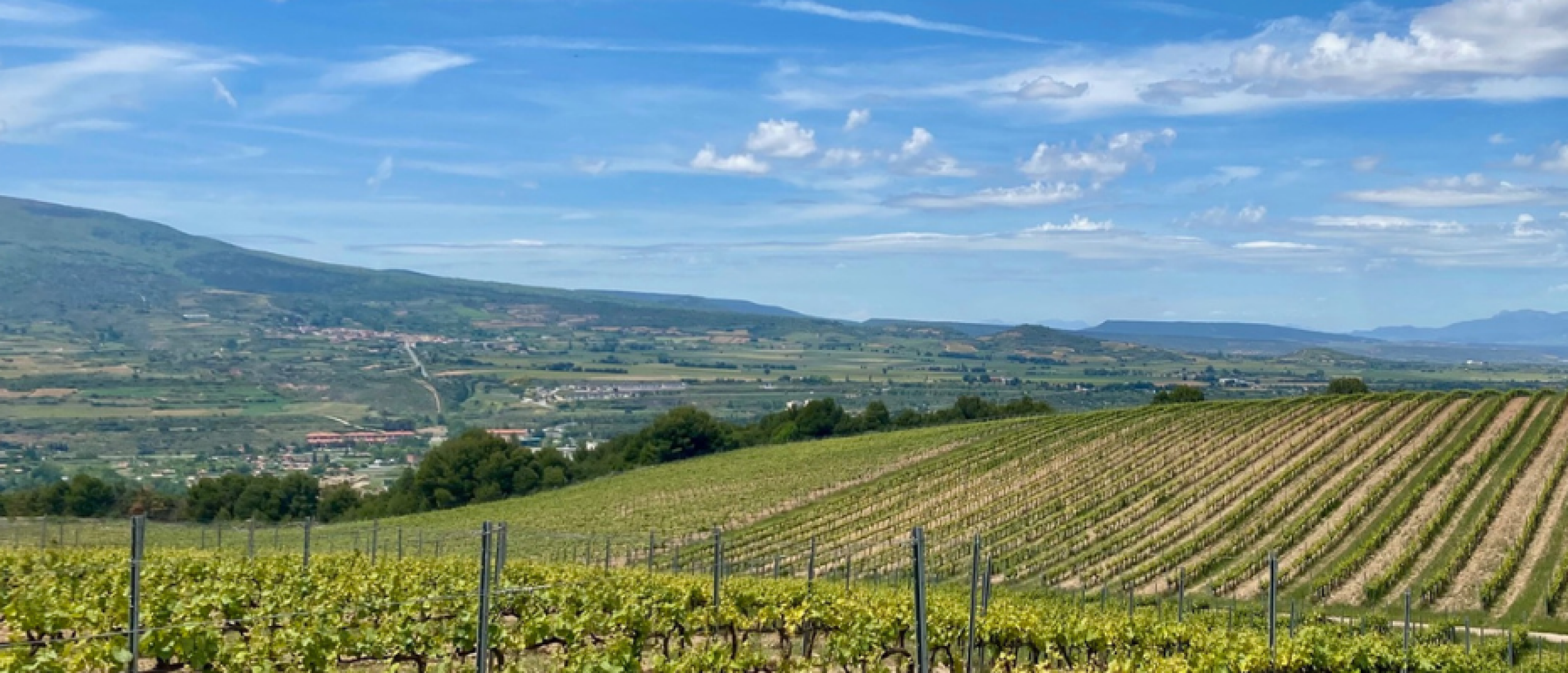 De stille revolutie van Rioja
