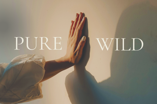 Pure or wild online programma blokkades loslaten en ondernemen vanuit je talent en waarheid.