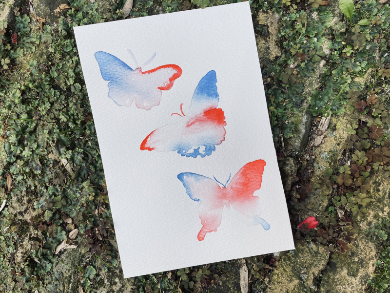 vlinders in aquarel online les