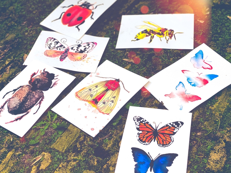 insecten online aquarel lessen angela peters studio angelart insecten in aquarelverf online aquarel cursus