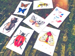 online aquarel lessen insecten