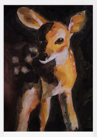 Nieuwe aquarel cursus: Bosdieren schilderen Leer dit hertje schilderen in aquarelverf