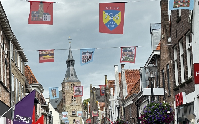 Vlaggen op maat gemikt voor winkelcentrum