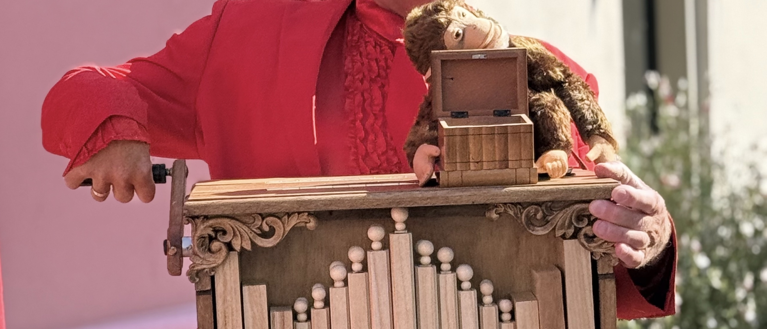 Het buikorgel van Herman