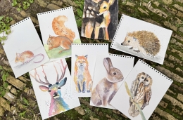 Bosdieren in aquarel Online aquarel lessen dieren schilderen