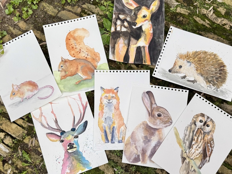 Online aquarel lessen dieren schilderen
