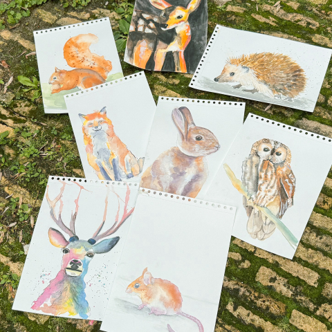 Online aquarel lessen dieren schilderen Online aquarel cursus bos dieren schilderen