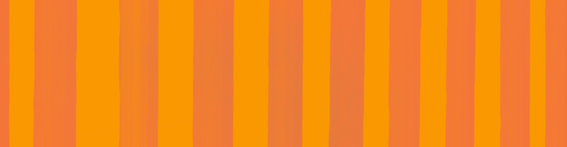 Koningsdag Activiteiten – kleur, vrolijkheid & beleving voor ieder evenement