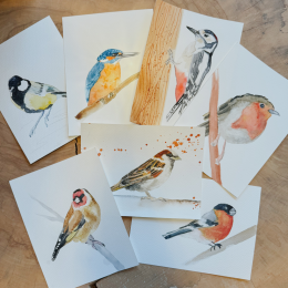 schilder 7 verschillende vogels in de online aquarelcursus