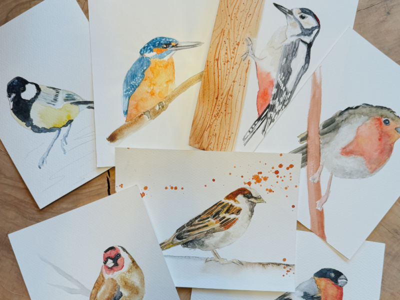 schilder 7 verschillende vogels in de online aquarelcursus