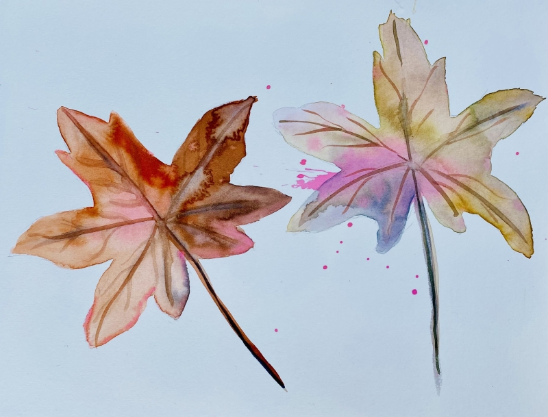 aquarel-voorbeeld-beginner-bladeren Aquarel bladeren schilderen voor beginners