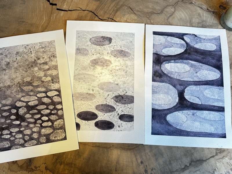 losser schilderen in aquarelverf vormen