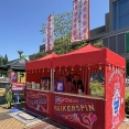 Suikerspin tent op festival Simmerdeis in drachten