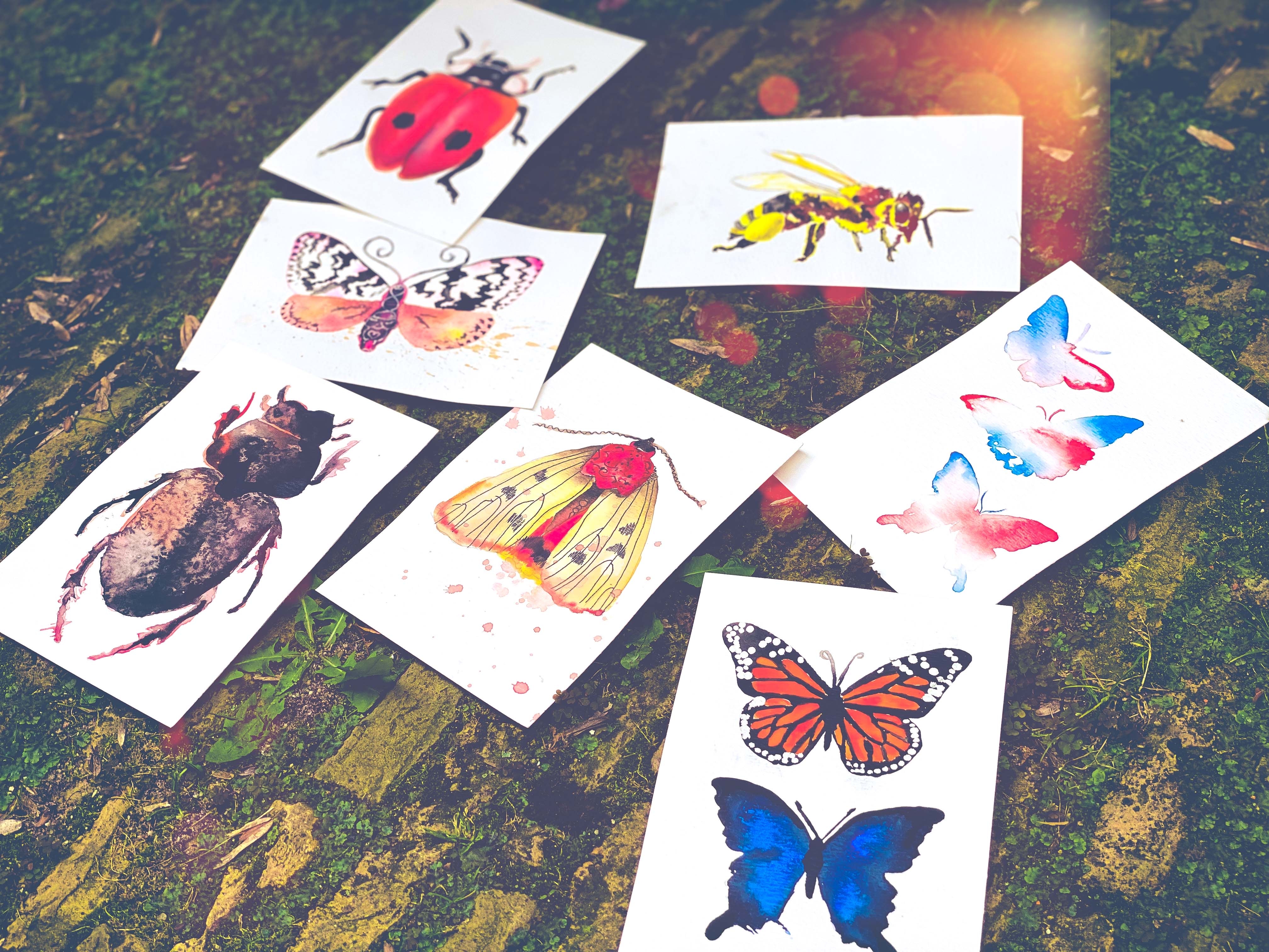 insecten in aquarelverf online aquarel cursus