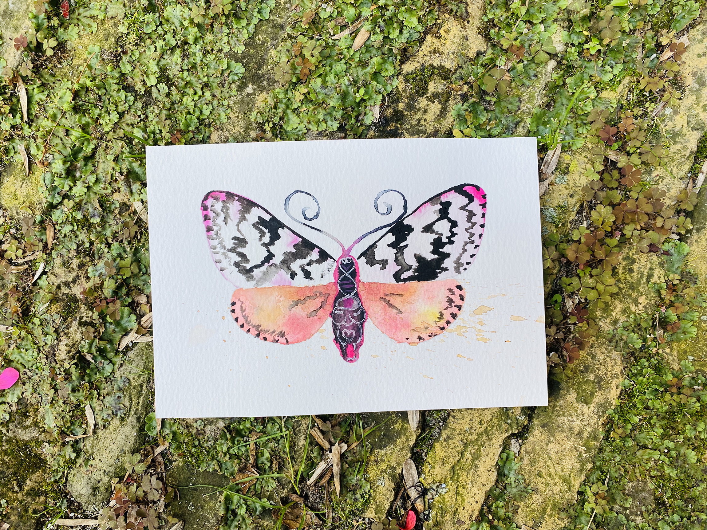 motten in aquarel online aquarel lessen angela peters studio angelart