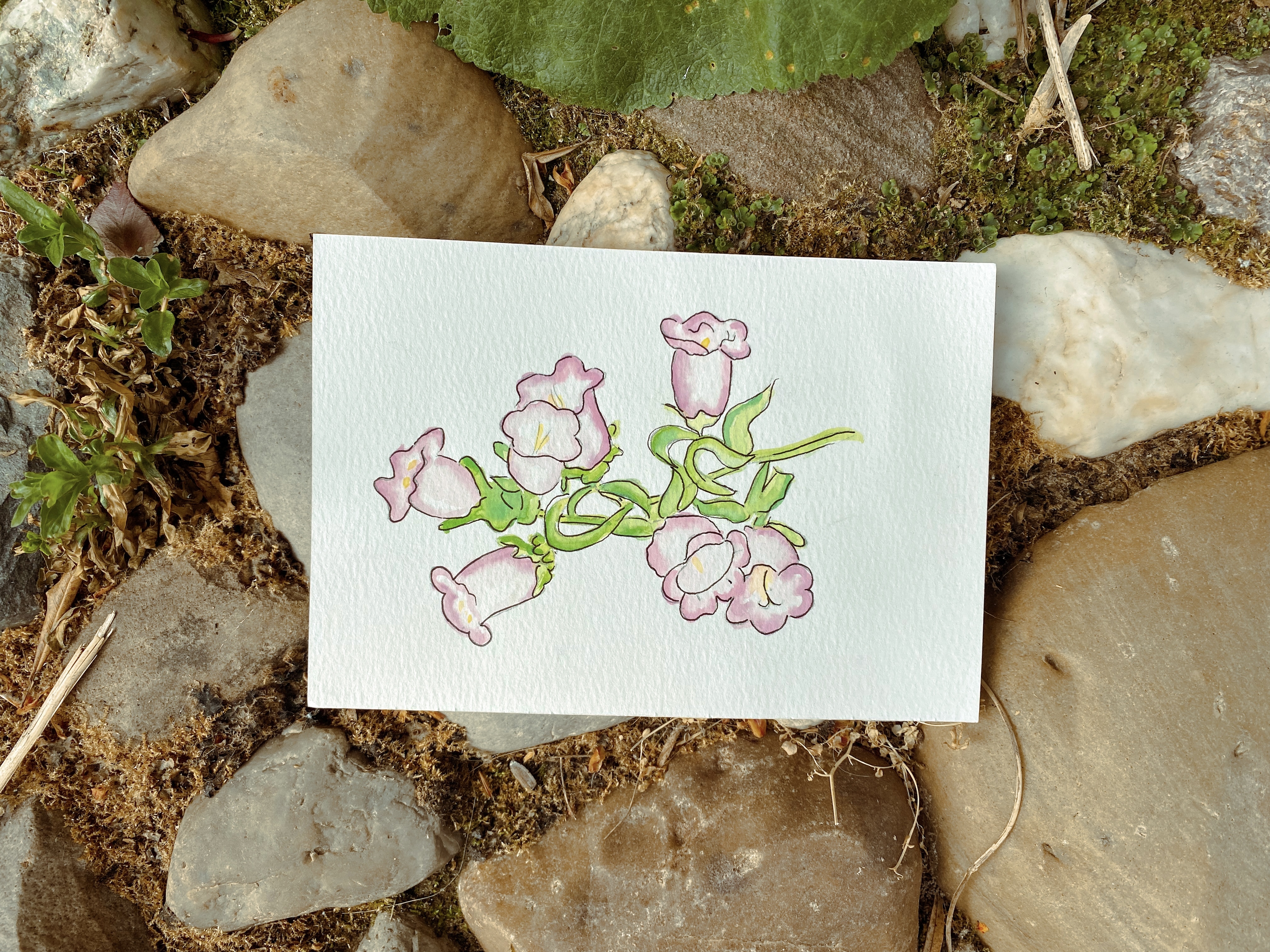 Aquarel workshop bloemen