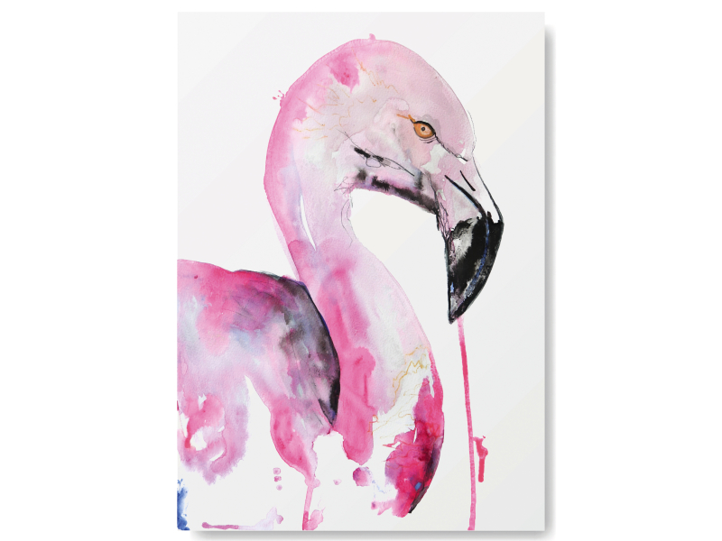 flamingo vogel wenskaart