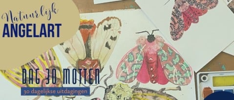 Motten schilderen – Aquarelverf dag 30 - waterverf voor beginners