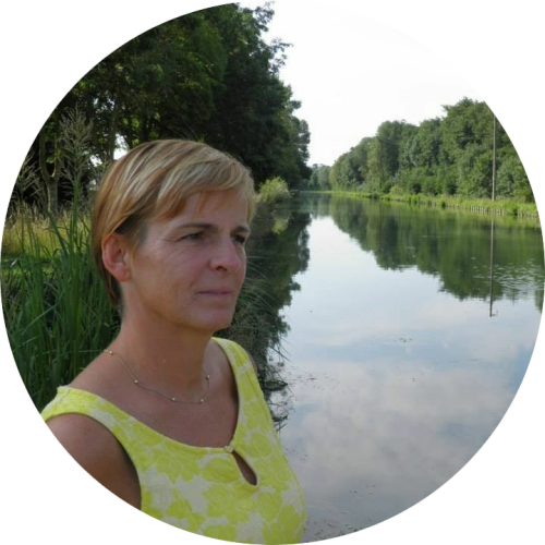 review lieve