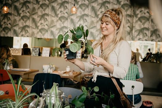 Stekjes ruilen bij CoffeeLab voor meer luchtzuiverende planten