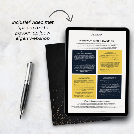 Webshop Winst Blueprint Webshop Winst Blueprint