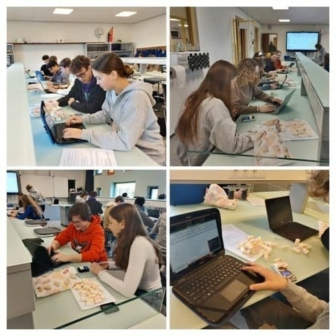 Mijn probleem met ‘praktische opdrachten’