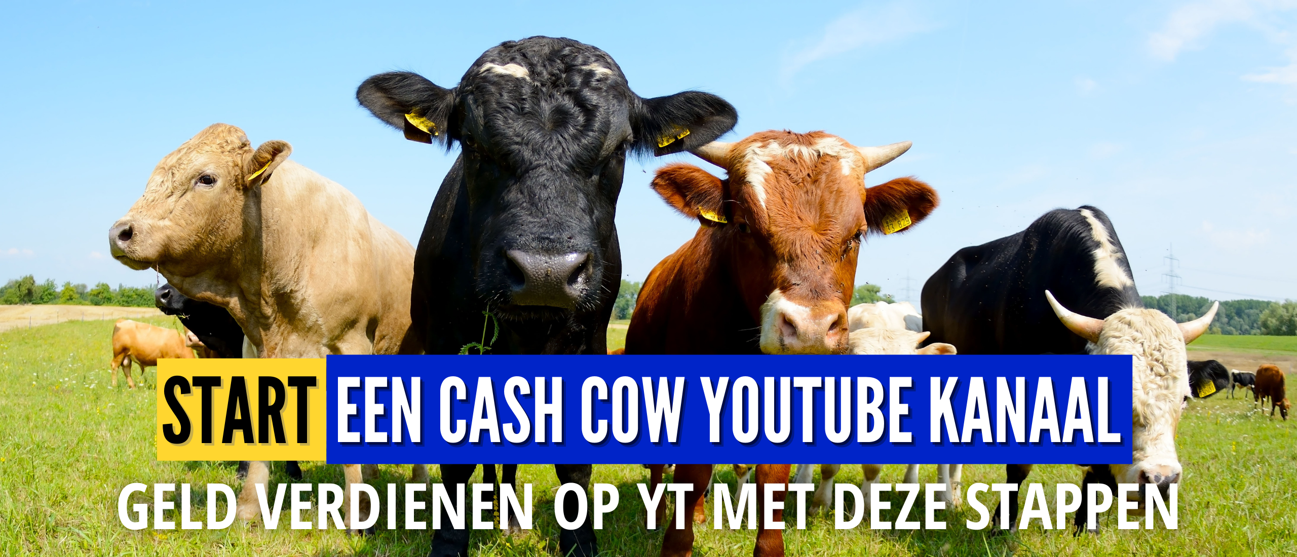 Cash Cow YouTube Kanaal Beginnen In 5 Stappen | Gids, Uitleg en Voorbeeld
