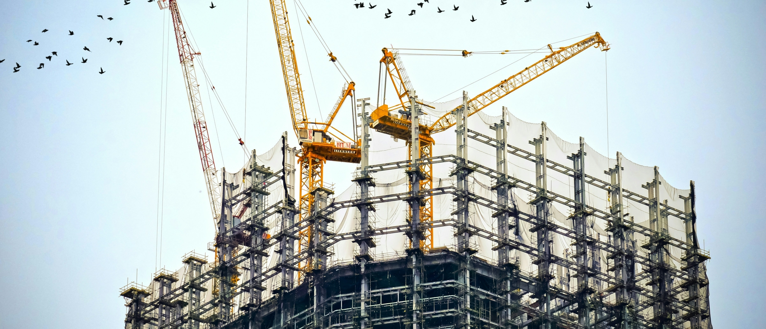 Buy and build strategie Buy and build strategie